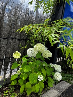 IMG_8757 (2).JPG